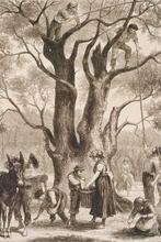 Olijven oogsten bij Menton - Antieke illustratie (1882), Verzenden, Voor 1940, Gebruikt