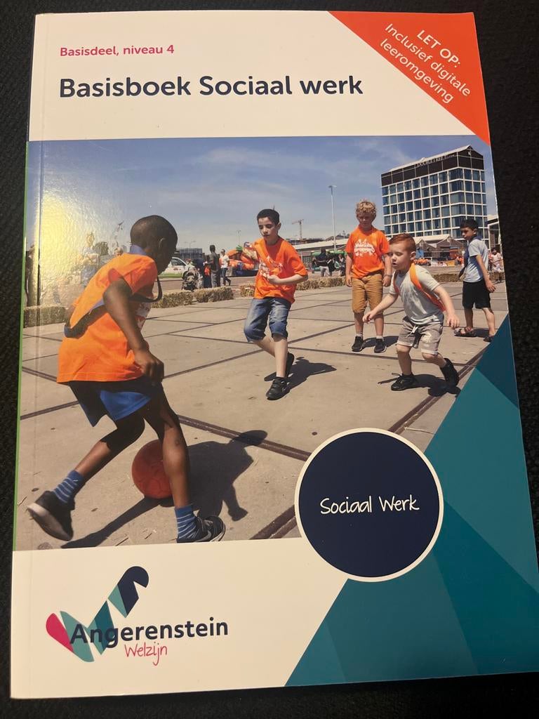 Basisboek Sociaal werk - niveau 4, Boeken, Ophalen of Verzenden, Gamma, Gelezen, MBO