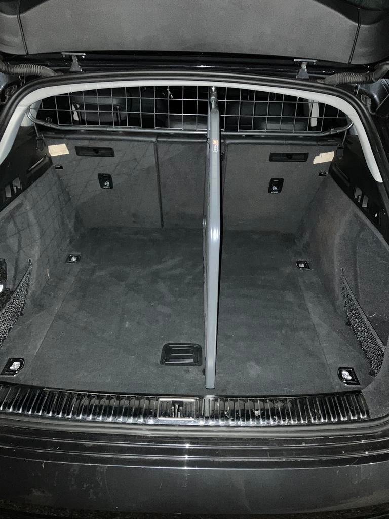 Hondenrek Audi Etron, Ophalen, Gebruikt