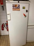 Liebherr Vriezer - Vrijstaand Vrieskast, Ophalen of Verzenden, Gebruikt, 160 cm of meer