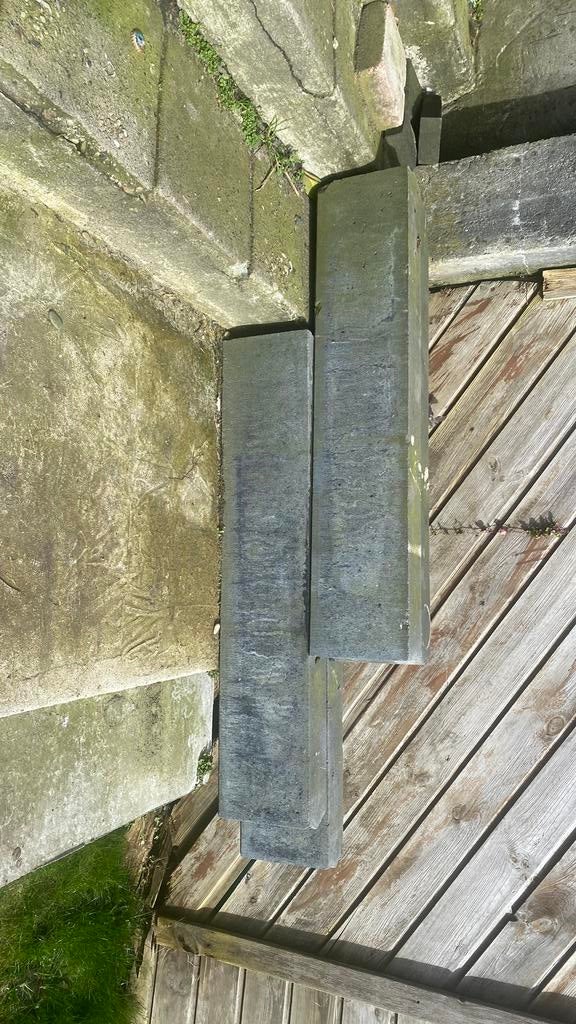 Gratis BIELZEN 4x 1 meter, Tuin en Terras, Bielzen en Borders, Ophalen, 100 tot 200 cm, Biels, Nieuw