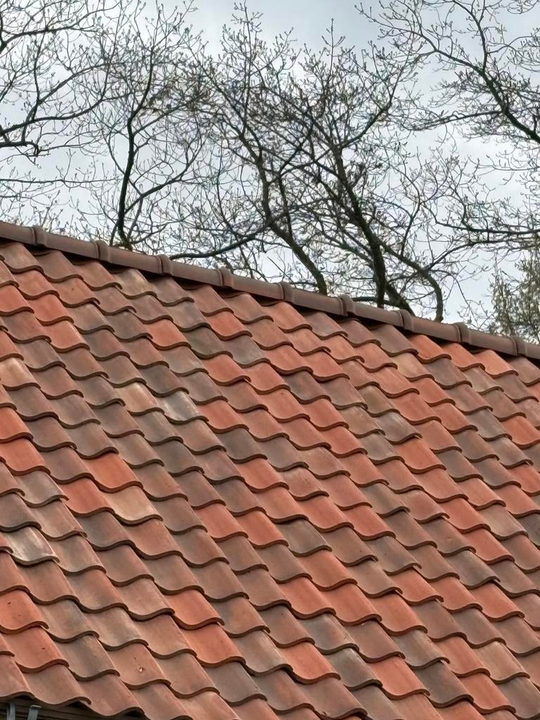 Artisinale boomse dakpan NIEUW!!!, Steen of Klei, Nieuw, Ophalen of Verzenden, 15 m² of meer