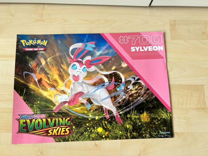 Pokémon poster (dubbelzijdig), Verzamelen, Posters, Gebruikt, A1 t/m A3, Rechthoekig Liggend, Ophalen