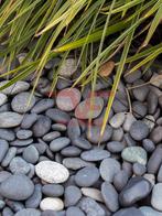 ACTIE Beach pebbles zwart 30-80 mm 20 kg zak, Tuin en Terras, Grind, Keien en Split, Overige materialen, Nieuw, Kei, Antraciet
