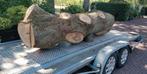 Dikke boomstam zomereik eik. Woodcarving, Minder dan 3 m³, Ophalen of Verzenden, Eikenhout, Stammen