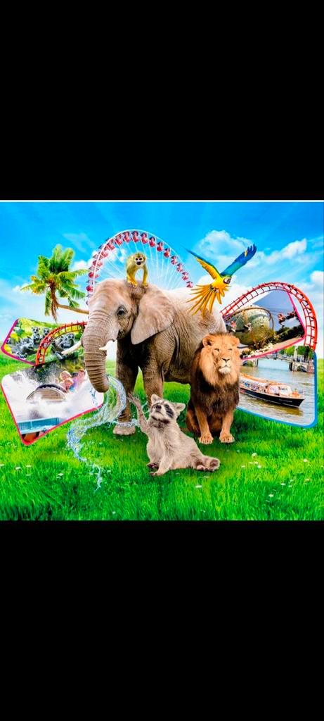 Titel:
4x Uitstapje naar keuze (Postcodeloterij), direct cod, Tickets en Kaartjes, Recreatie | Pretparken en Attractieparken, Drie personen of meer