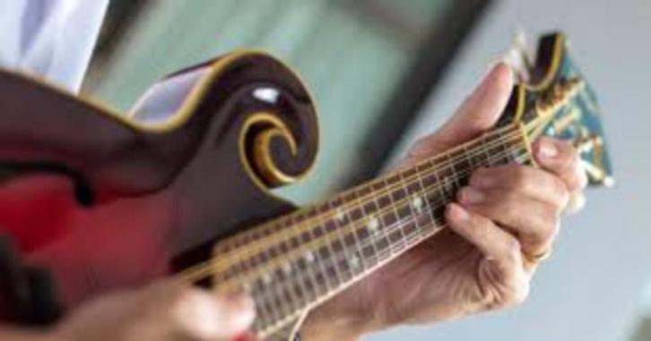 Mandoline les (Utrecht/Nieuwegein/IJsselstein/Houten), Muziek en Instrumenten, Overige Muziek en Instrumenten, Nieuw, Ophalen