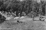 (388-045-035) Alphen aan den Rijn Avifauna, Verzamelen, Verzenden, Zuid-Holland