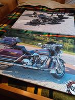 Twee grote schilderijen  motor harley  davidson, Ophalen, Zo goed als nieuw, A1 t/m A3, Sport