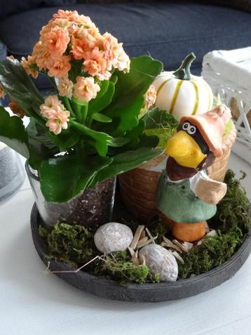 NIEUW! Tafeldecoratie Plantje beschikbaar voor biedingen