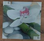 Schilderij orchidee & bamboe 38x38cm, Huis en Inrichting, Woonaccessoires | Schilderijen, Tekeningen en Foto's, Minder dan 50 cm