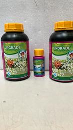 Wilma 1 Basis en Upgrade, Ophalen of Verzenden, Nieuw