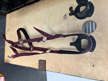 Bordeaux Norton halster Maat Full beschikbaar voor biedingen
