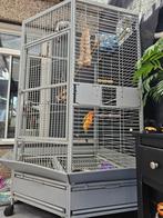 Grote Keddoc Washington papegaaienkooi, Dieren en Toebehoren, Ophalen, Zo goed als nieuw, Metaal, Vogelkooi