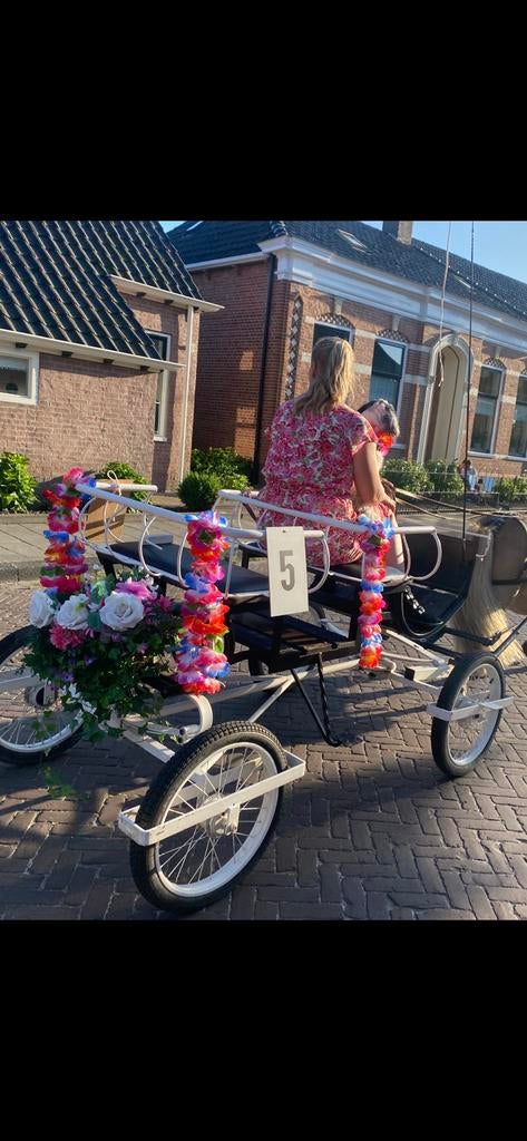 Mooie concours wagen, Ophalen, Zo goed als nieuw, Overige soorten