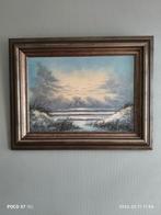 Schilderij van Van Nesse - Zeegezicht met vogels, Ophalen