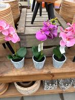 Orchidee kunst nieuw, Ophalen, Nieuw