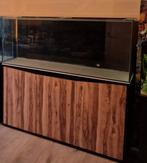 Volglas aquarium 149x39x60, Dieren en Toebehoren, Ophalen of Verzenden, Nieuw, Leeg aquarium