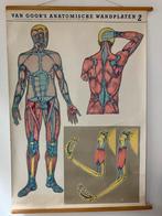 Schoolkaart Anatomische wandplaat II, Ophalen of Verzenden