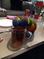 Twee tamme Lori's zoeken nieuw huis, Dieren en Toebehoren, Vogels | Parkieten en Papegaaien