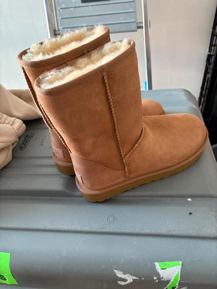 Nieuwe bruine UGGS classic short in doos, Kleding | Dames, Schoenen, Nieuw, Lage of Enkellaarzen, Bruin, Ophalen of Verzenden