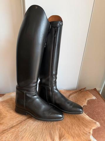 Petrie Olympic, 71/2 48 39, dressuurlaars beschikbaar voor biedingen