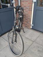 Pegasus Revenna herenfiets mt 53, 51 tot 55 cm, Ophalen, Gebruikt, Overige merken
