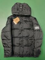 Burberry Puffer Jas - Nieuw! Size M/L, Kleding | Heren, Jassen | Winter, Maat 48/50 (M), Zwart, Nieuw, Ophalen of Verzenden