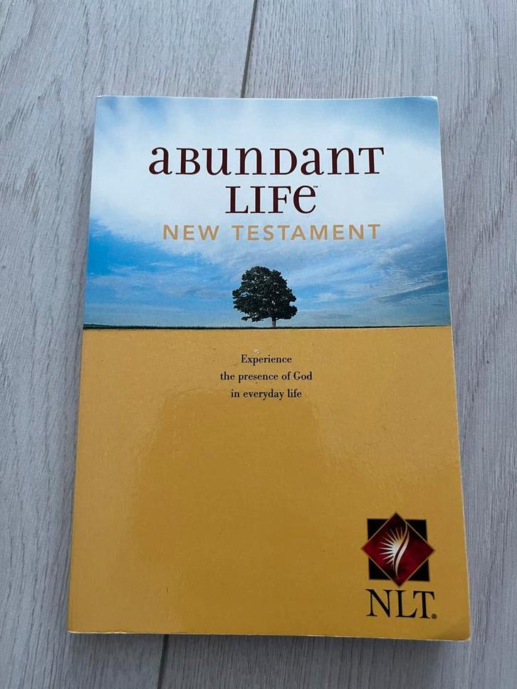Abundant Life - New Testament, Boeken, Godsdienst en Theologie, Zo goed als nieuw, Christendom | Katholiek, Ophalen of Verzenden
