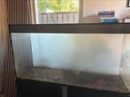 Aquarium op kastje merk Ciano 120x60x36, Dieren en Toebehoren, Vissen | Aquaria en Toebehoren, Ophalen, Gebruikt, Leeg aquarium