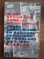 Ron Blom - In het spoor van Domela Nieuwenhuis, Ophalen of Verzenden, Zo goed als nieuw, Ron Blom