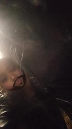 Bijrijder aangeboden/Bijrijd paard of pony zoeken, Dieren en Toebehoren, Ophalen of Verzenden, Nieuw