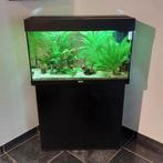 Juwel rio 125 aquarium, Ophalen, Leeg aquarium