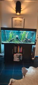 Compleet aquarium, Dieren en Toebehoren, Vissen | Aquaria en Toebehoren, Ophalen, Gebruikt, Gevuld zoetwateraquarium