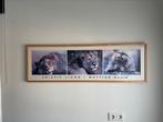 Verschillende wand posters, Antiek en Kunst, Ophalen of Verzenden