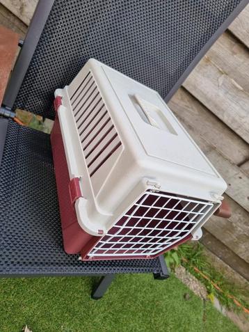 Kattenreismand. Vaste prijs  beschikbaar voor biedingen