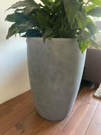 Hoge betonlook bloempot 80cm hoog, 56cm breed, Tuin en Terras, Bloempotten, Ophalen, Overige materialen, 40 cm of meer, Rond