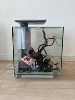 Superfish Qubiq 30 aquarium, Dieren en Toebehoren, Vissen | Aquaria en Toebehoren, Ophalen, Zo goed als nieuw, Leeg aquarium