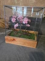 Bloesem in glazen kas met lampjes, Ophalen, Minder dan 100 cm