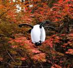 PowerVision PowerEgg Drone. 5 km Bereik! 23min. Vliegtijd!, Ophalen of Verzenden, Nieuw, Elektro, RTF (Ready to Fly)
