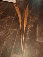 Palm vezel bloeistengels (spadices / palm inflorescences), Huis en Inrichting, Woonaccessoires | Droogbloemen, Ophalen, Gebruikt