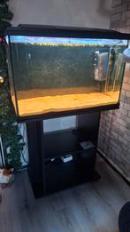 Superfish 150+onderkast, Dieren en Toebehoren, Vissen | Aquaria en Toebehoren, Ophalen, Nieuw, Leeg aquarium