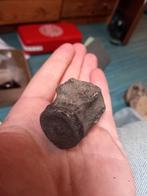 Fossielen miocene walvis, Verzamelen, Ophalen of Verzenden, Fossiel