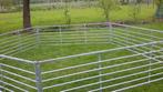 schapenhekjes, Dieren en Toebehoren, Schapen, Geiten en Varkens, Vrouwelijk, Schaap