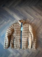 Cast iron short jacket, Kleding | Heren, Jassen | Winter, Bruin, Cast iron, Ophalen of Verzenden, Maat 56/58 (XL)
