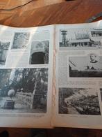 Artikel over Ruïne slot Heemstede 1909, Ophalen of Verzenden, Voor 1920, Knipsel(s)