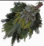 GEZOCHT!!! Gratis Groen voor het maken van Kerststukjes, Ophalen of Verzenden, Bloeit niet, Overige soorten, Volle zon