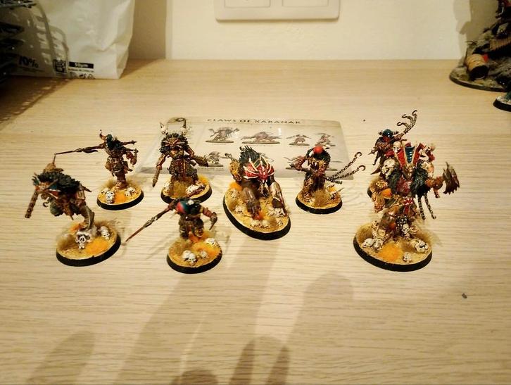Claws of Karanak - Geverfd - Warhammer Warcry/AoS, Hobby en Vrije tijd, Wargaming, Warhammer, Geverfd, Ophalen of Verzenden