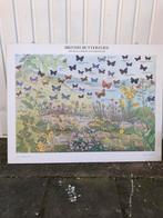 Mooie Engelse schoolplaat British butterflies., Natuur en Biologie, Ophalen of Verzenden