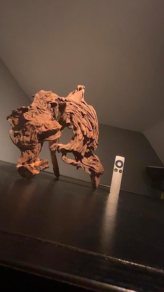 Uniek stuk Kienhout / Driftwood / Spiderwood, Hout Decoratie, Dieren en Toebehoren, Vissen | Aquaria en Toebehoren, Zo goed als nieuw